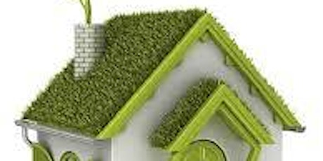 Making Your Home More Eco-Friendly