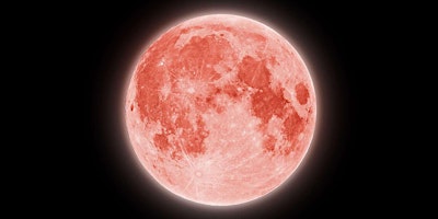 Primaire afbeelding van Guided Full Moon Meditation - The Strawberry Moon!