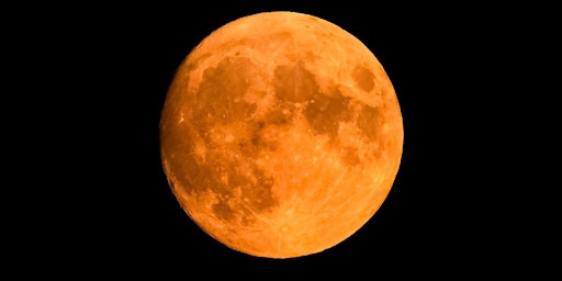 Imagem principal de Guided Full Moon Meditation - The Buck Moon!