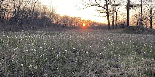 Primaire afbeelding van A Walk with Nature