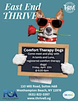 Imagem principal do evento Comfort Therapy Dogs