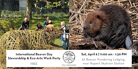 Imagem principal de International Beaver Day: Still Moon Work Party at Beaver Pondering Lodging