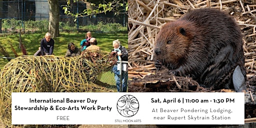 Imagen principal de International Beaver Day: Still Moon Work Party at Beaver Pondering Lodging