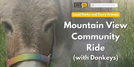 Community bike ride with donkeys and playground  primärbild