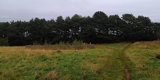 Barr Beacon Tiny Forest Data Monitoring primary image