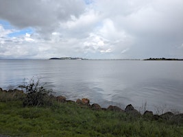 Imagem principal de Forest Bathing by the Bay