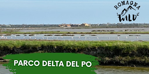 Escursione al Parco Delta del Po