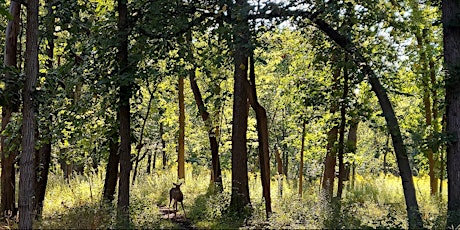 Trailblazers: Caldwell Woods Fitness Hike