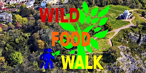 April Avon Gorge (Bristol) Wild Food Foraging/ Forager Walk. primary image