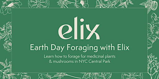 Image principale de Earth Day Foraging with Elix