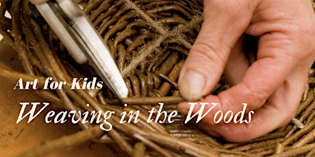 Weaving In The Woods