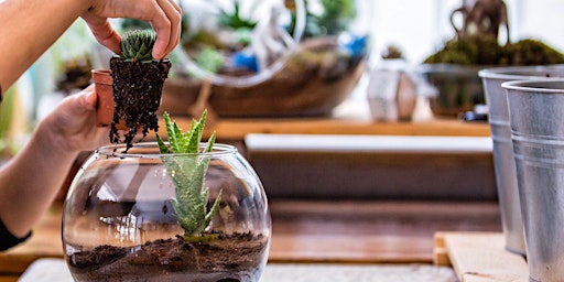 Immagine principale di Terrarium Workshop 