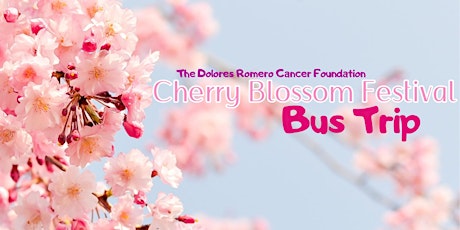 Washington DC Cherry blossom festival bus trip