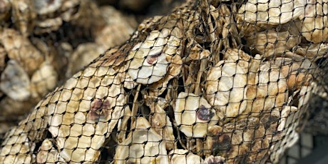 Stewardship Session: Oyster Shell Bags primary image