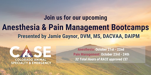 Anesthesia & Pain Management Bootcamps primary image