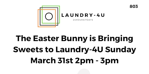 Laundry-4U Pictures with the Easter Bunny Fun & Games for Kids primary image