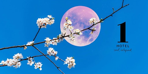 Imagen principal de Full "Flower" Moon Sound Bath at 1 Hotel West Hollywood