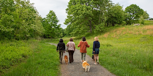 Imagem principal do evento "What's Next?" Stop Thinking, Start Moving - Hudson River Walking Workshop