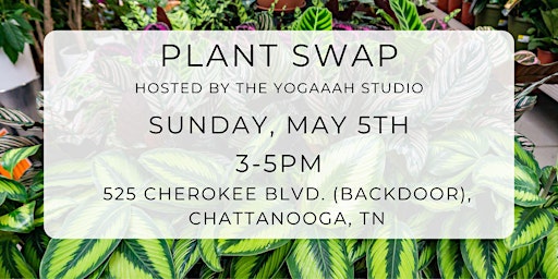 Imagem principal do evento Plant Swap Hosted at the Yogaaah Studio