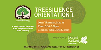 Primaire afbeelding van Treesilience Orientation 1