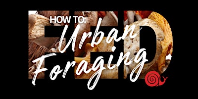 FED Workshop - How To: Urban Foraging primary image