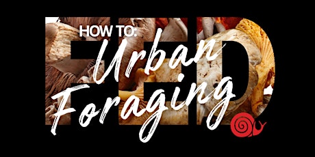 FED Workshop - How To: Urban Foraging