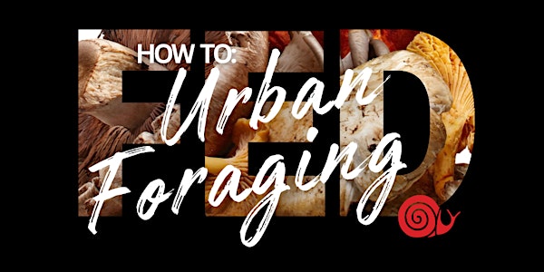 FED Workshop - How To: Urban Foraging