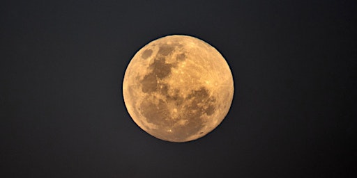 Immagine principale di Guided Full Moon Meditation - The Sturgeon Moon! 