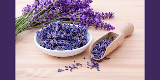 Secret Garden Series: Lavender primary image