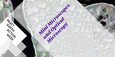 Mini Microscopes and Optical Microscopy primary image