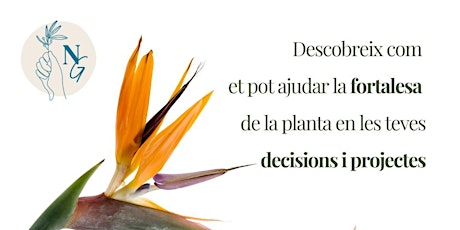 Paral·lelismes amb les plantes