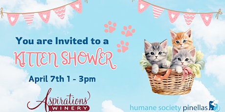 Kitten Shower - You are Invited!!