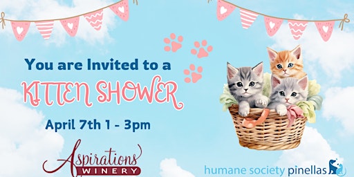 Primaire afbeelding van Kitten Shower - You are Invited!!