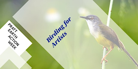 Birding for Artists