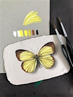 Primaire afbeelding van How to: Paint a Butterfly in Gouache
