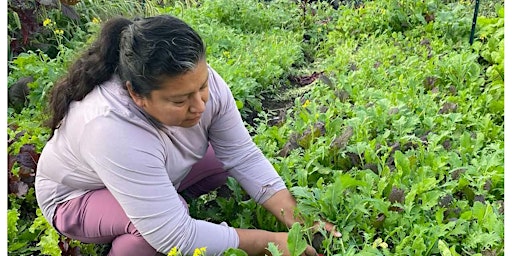 Working in the Garden in Spring primary image