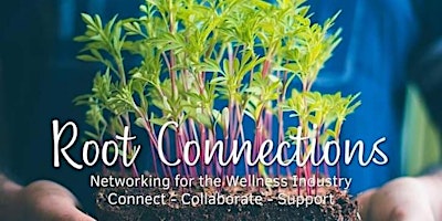 Primaire afbeelding van Root Connections Networking Hampstead/Finchley - Health & Wellness Industry