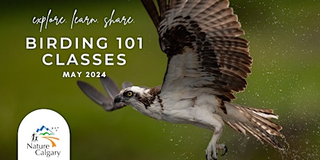 Birding 101 - Birding for Beginners (Friday Morning Walks)