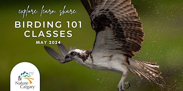 Birding 101 - Birding for Beginners (Sunday Morning Walks)