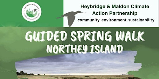 Guided Spring Walk around Northey Island primary image
