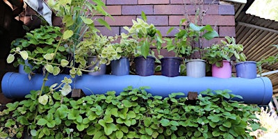 FREE Waterwise Gardens Workshop for Hawkesbury Residents primary image