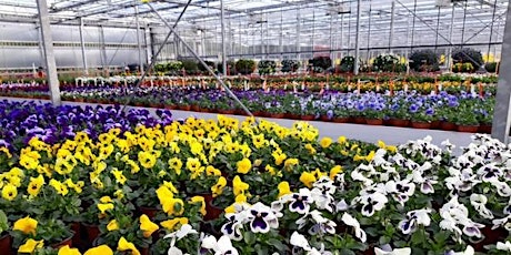 Hauptbild für Piedmont NC Greenhouse Growers Meeting