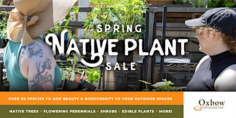 Spring Native Plant Sale