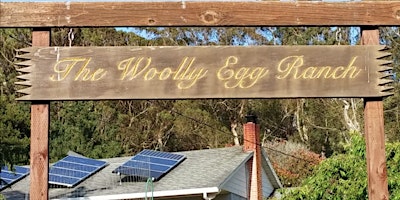 Imagem principal do evento Woolly Egg Ranch Spring Tour