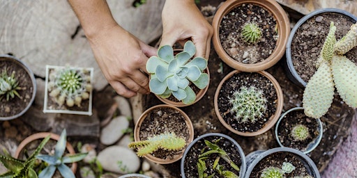 Roots of Resilience: Planting Hope Together primary image