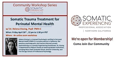 Somatic Trauma Treatment for Perinatal Mental Health primary image