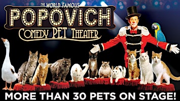 Imagem principal do evento Popovich Comedy Pet Theater