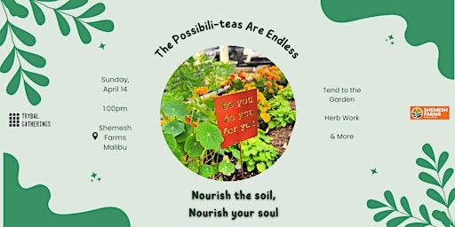 Primaire afbeelding van The Possibili-teas Are Endless