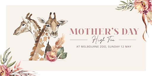Immagine principale di Mother's Day High Tea at Melbourne Zoo (Afternoon) 