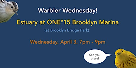 Warbler Wednesday at Estuary in BBP